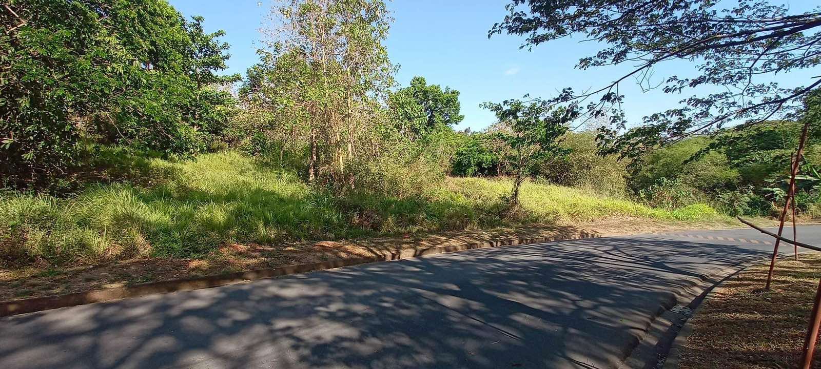 1,200SQM-1,900SQMVacantLotforSaleinValleyGolfSubdivision,Cainta,Rizal-1.jpg