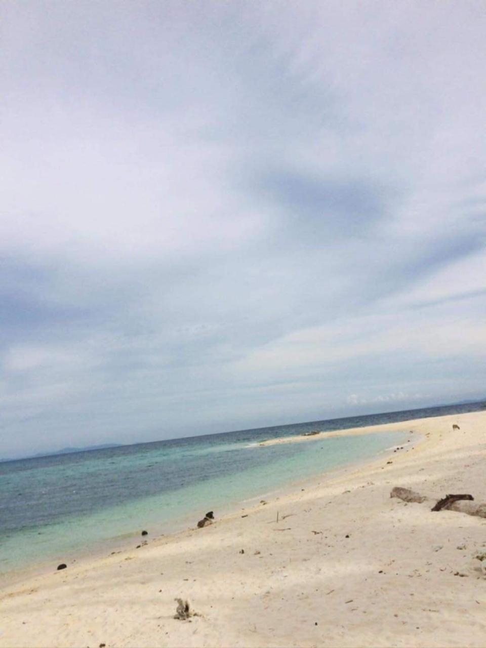 IslandBeachLotforSaleinSanVicente,NorthernSamar-1.jpg
