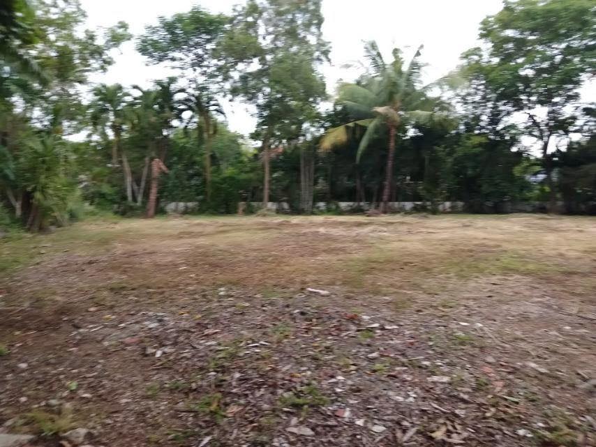 1,137SQMRareSought-AfterCornerVacantLotinAyalaAlabang,Muntinlupa-1.jpg