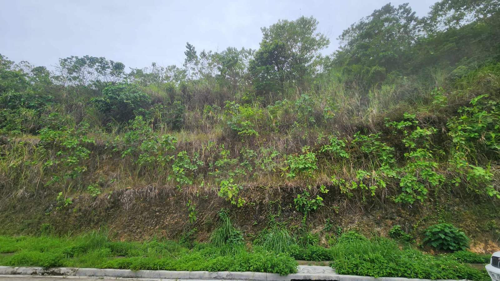 741SQMVacantLotforSaleinMonterazasThePeak,Cebu-1.jpg