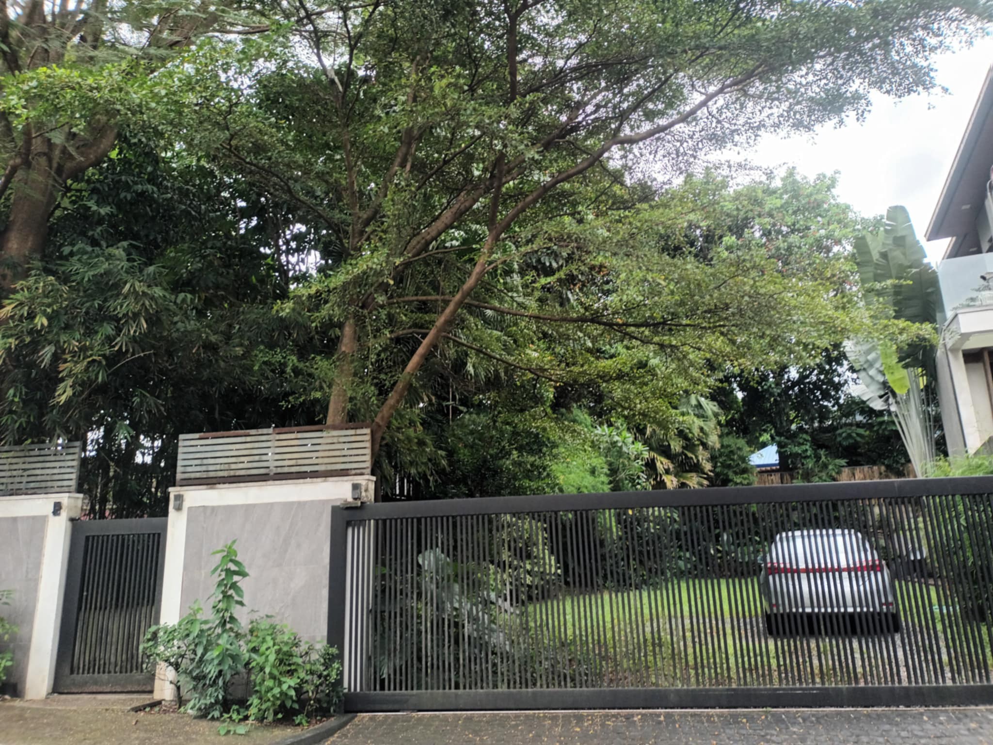 308SQMVacantLotforSale inTivoliGreens,QuezonCity-1.jpg