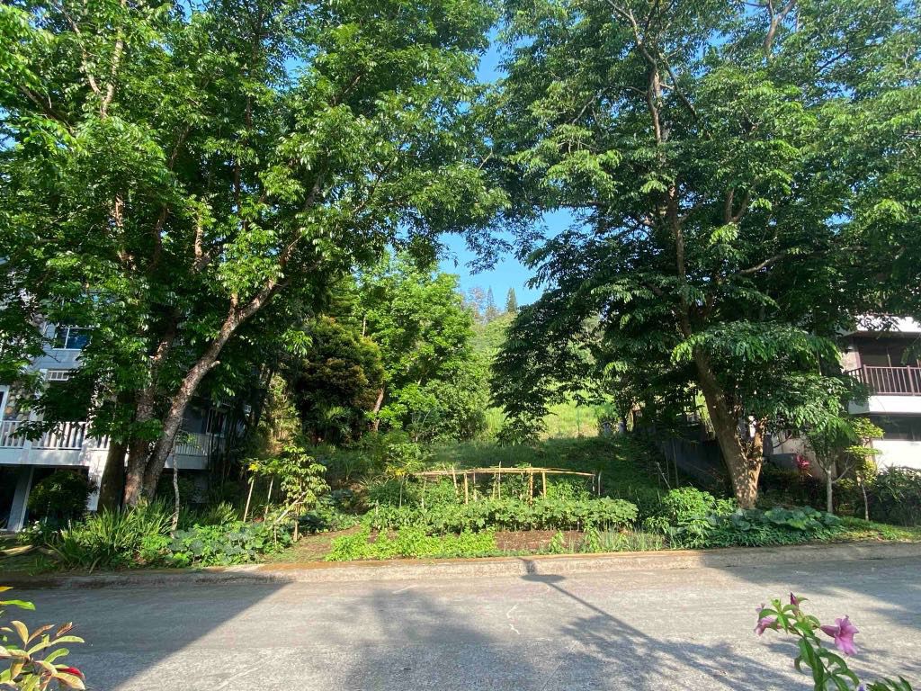 320SQMResidentialLotforSaleinCanyonWoodsResidentialResort,Laurel,Batangas-1.jpg
