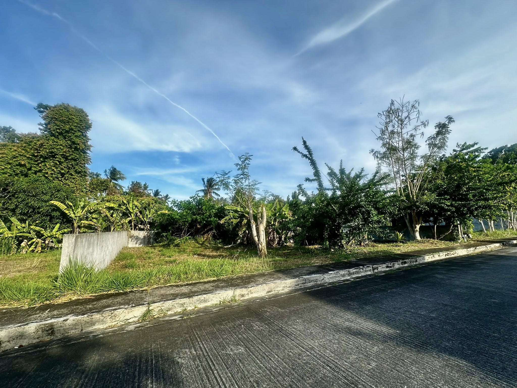 300SQMVacantLotforSaleinRivieraResidentialEstates,Silang,Cavite-1.jpg