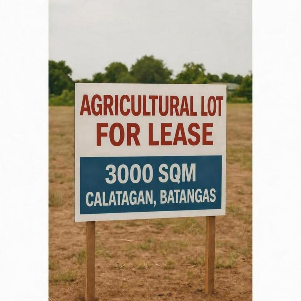 3,000SQMAgricuturalLotforLeaseinCalatagan,Batangas-1.jpg