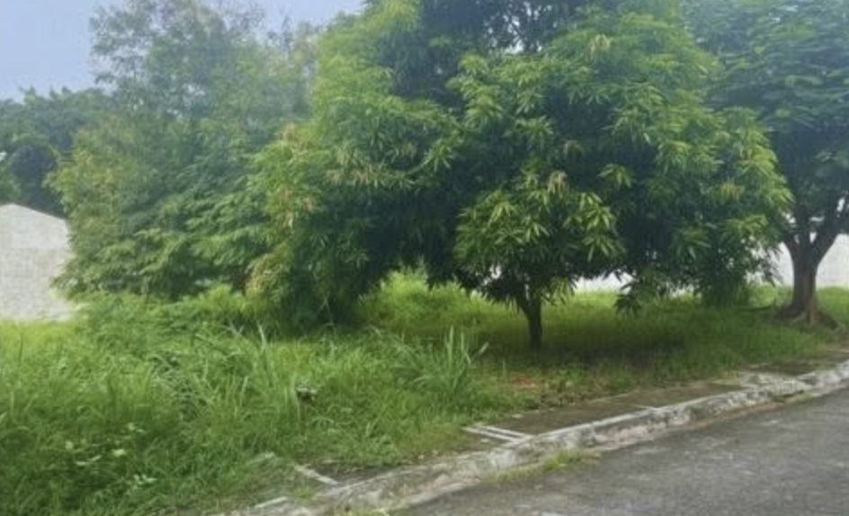 482SQMVacantLotforSaleinLaResidenciaSubd.,Bacoor,Cavite-2.jpg