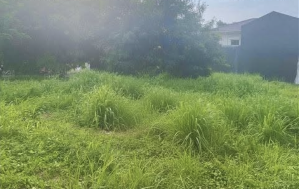 482SQMVacantLotforSaleinLaResidenciaSubd.,Bacoor,Cavite-4.jpg